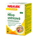 Hliva ustricová PLUS